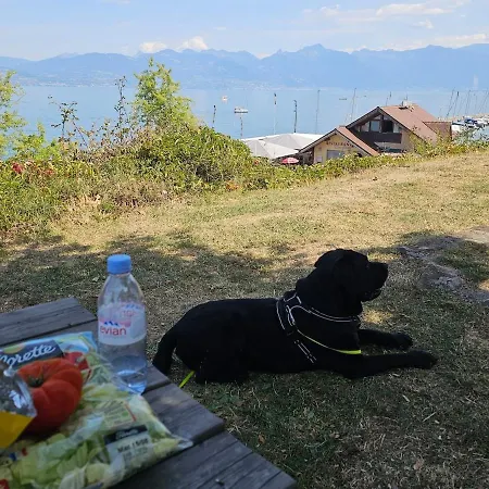 Vakantiehuis View Lakefront Geneva Geneva Paddle *
